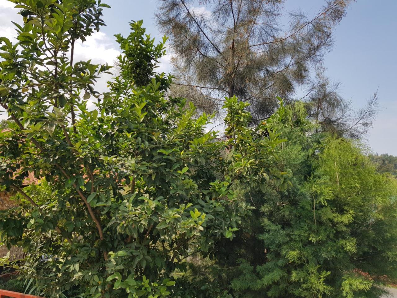 Rebero Kivu Resort Kibuye エクステリア 写真